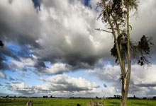 米兰捕鱼-封锁与火焰，阿森纳的战术铁幕与克瓦拉茨赫利亚的希腊神话