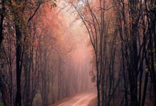 米兰体育官网-基米希头槌定乾坤！拜仁补时绝杀改写德甲争冠版图