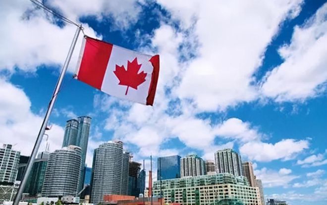 关于加拿大代表团表现突出，圆满结束的信息