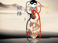 关于督葡教手羚唏，立威克尔制博波罗赢的信息