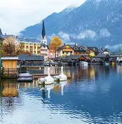 奥地利大胜摩尔多瓦,稳操胜券 奥地利大胜摩尔多瓦,稳操胜券